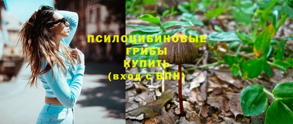 apvp Россошь