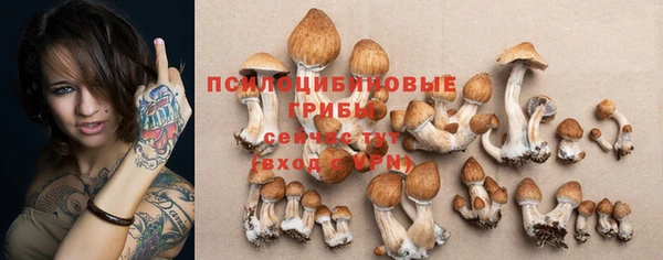 mix Абаза