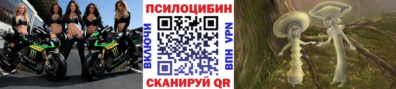 блэк спрут как зайти  Поворино  Галлюциногенные грибы MAGIC MUSHROOMS 